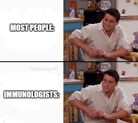 The Immunological Paradox Of Pregnancy
