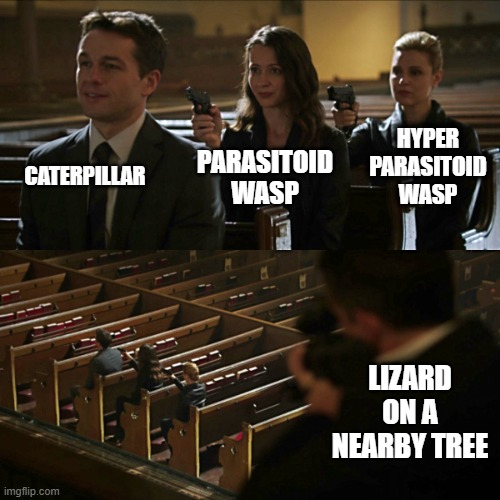 Terrible Parasitic Parents