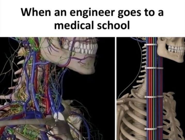 When An Engineer Goes To Medical School