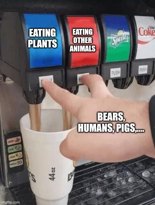 Being Omnivorous Is Cool!