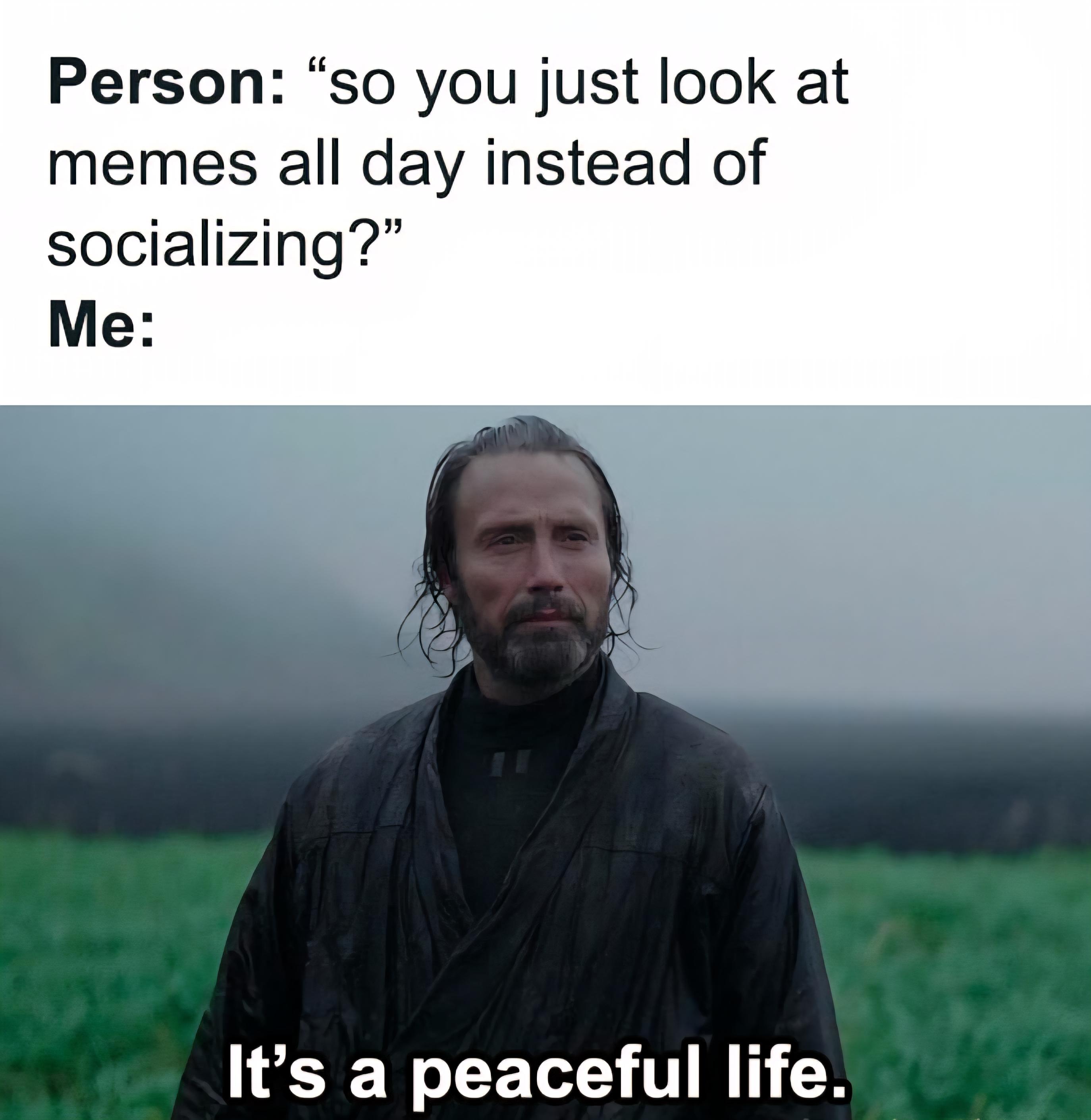 The Introvert's Scientific Sanctuary