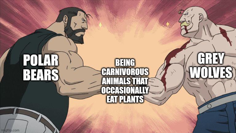 Carnivore Identity Crisis