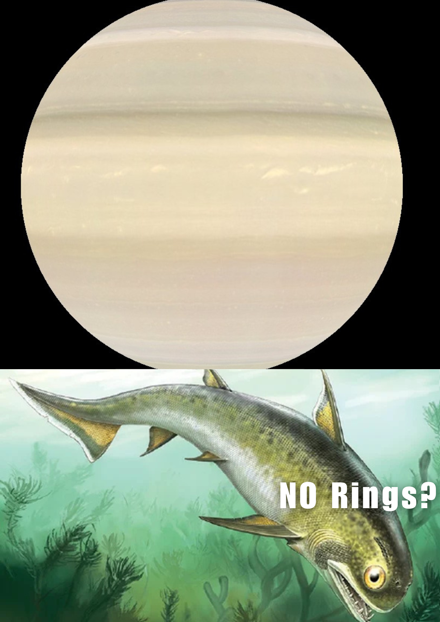 No Rings? Couldn't Be Me
