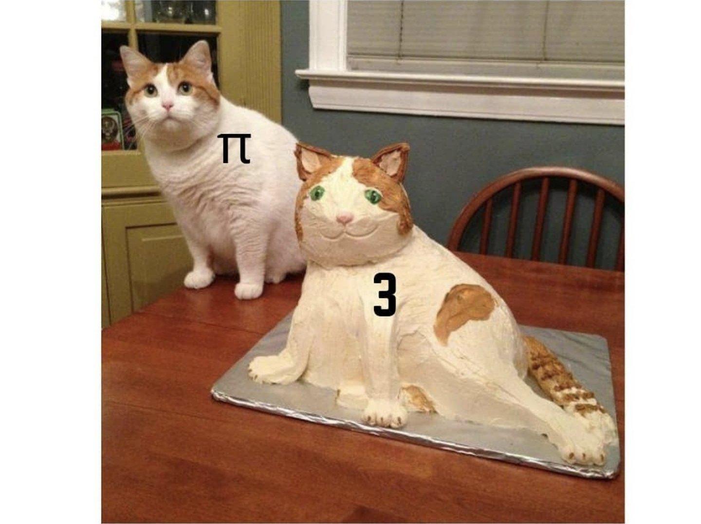 Pi Versus Its Delicious Approximation