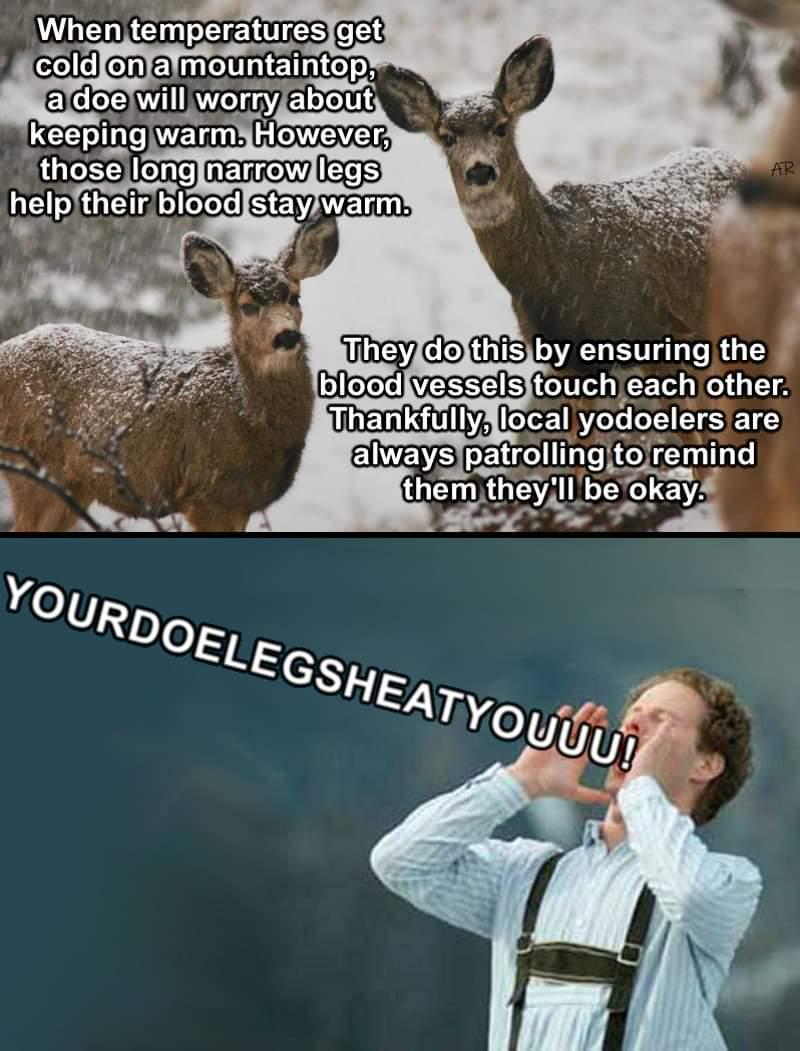 Your Doe Legs Heat You
