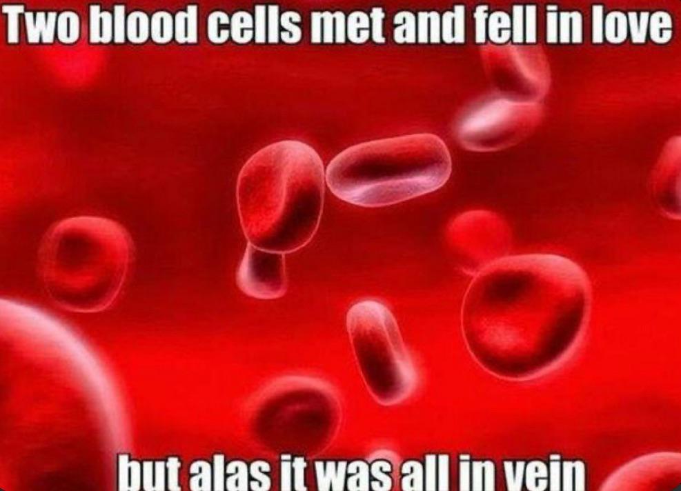 A Bloody Tragic Romance