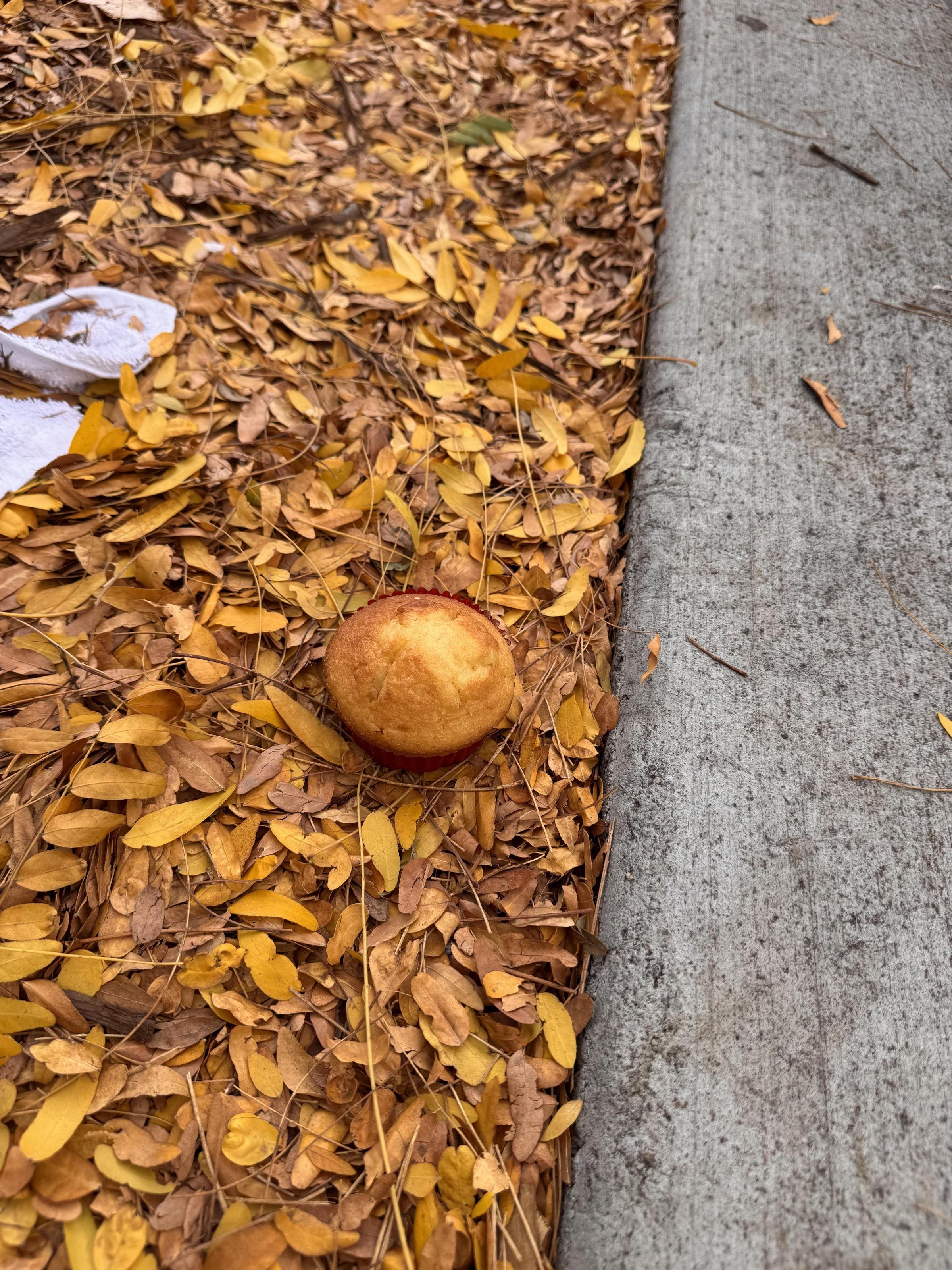 The Great Muffin Migration