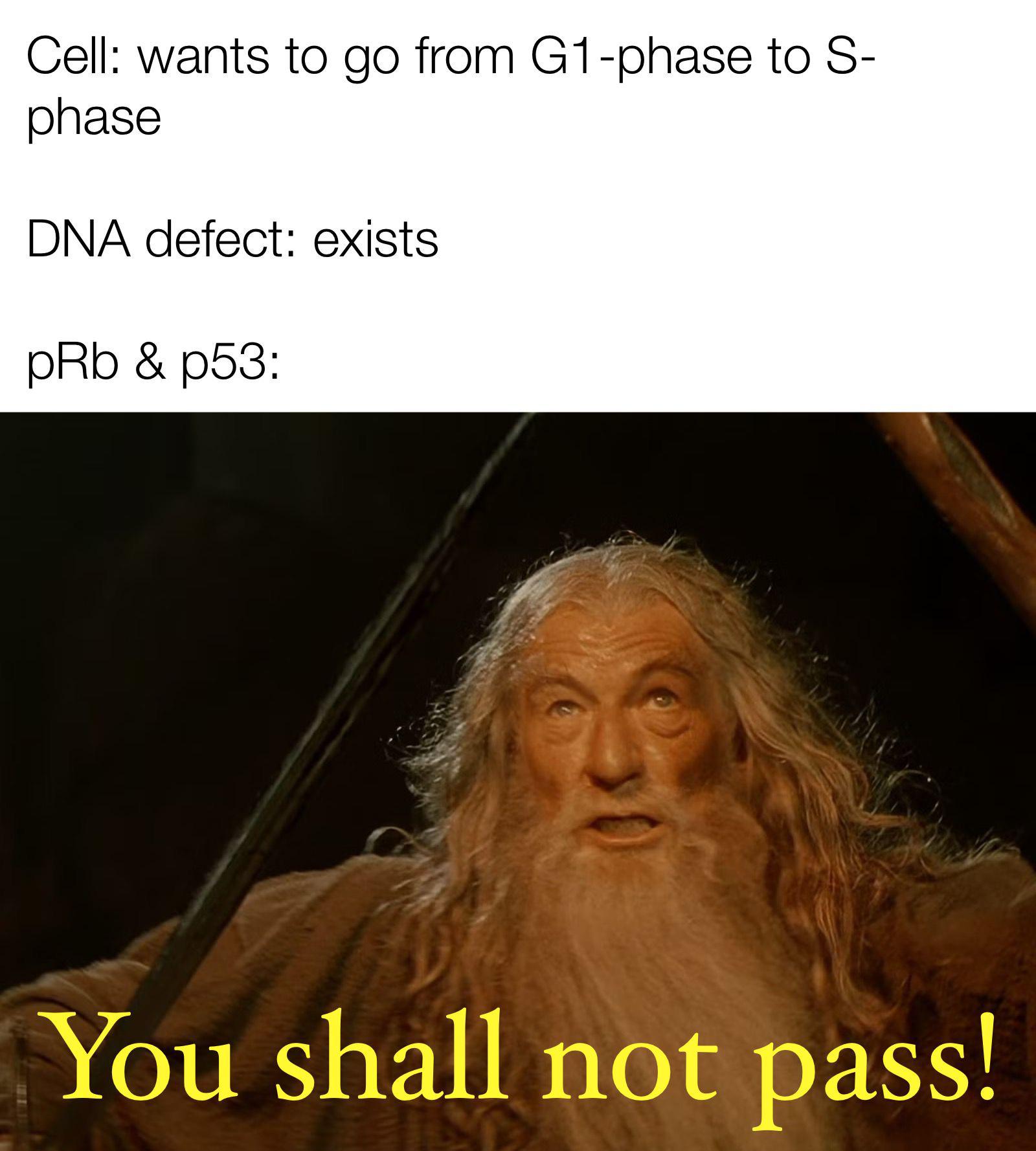 Tumor Suppression Be Like