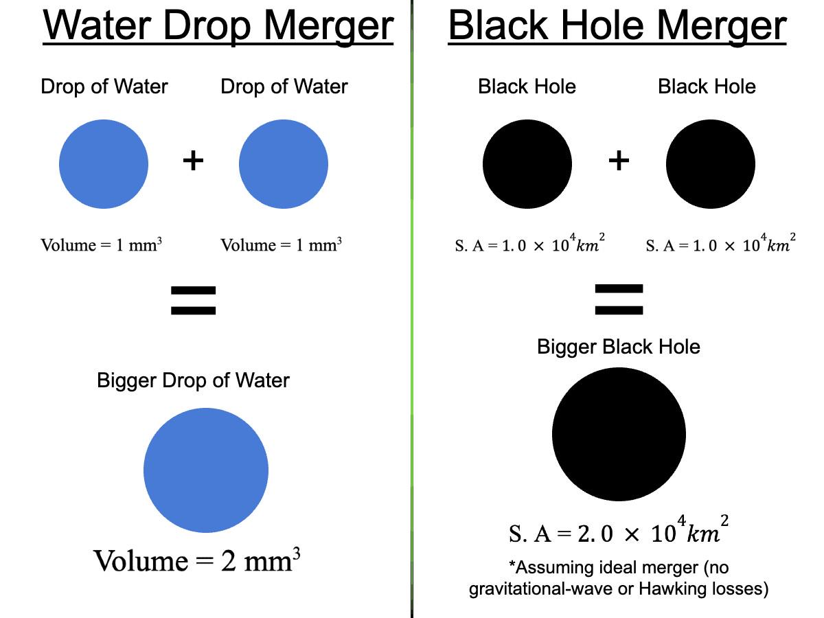 Black Holes Are Weird... Surface Area Edition