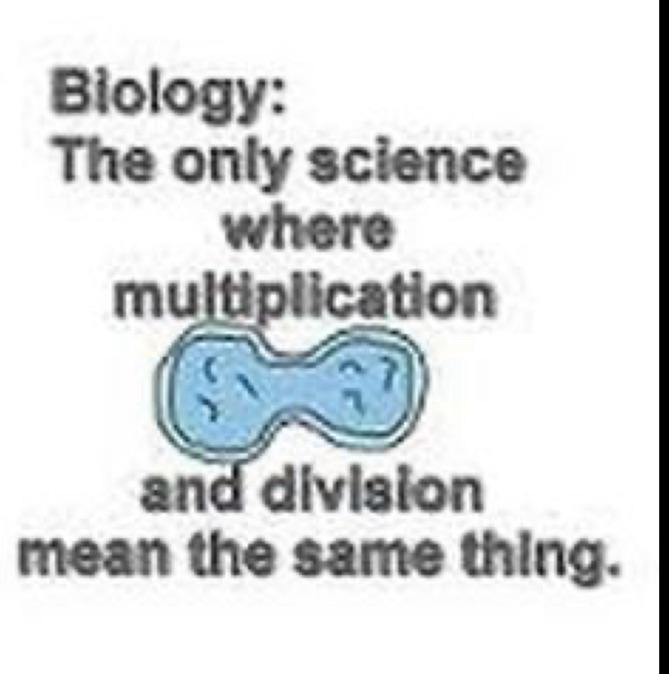 Mathematical Paradox Of Cell Division