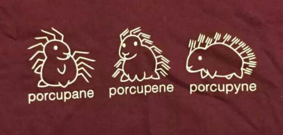 What Do You Prefer?
