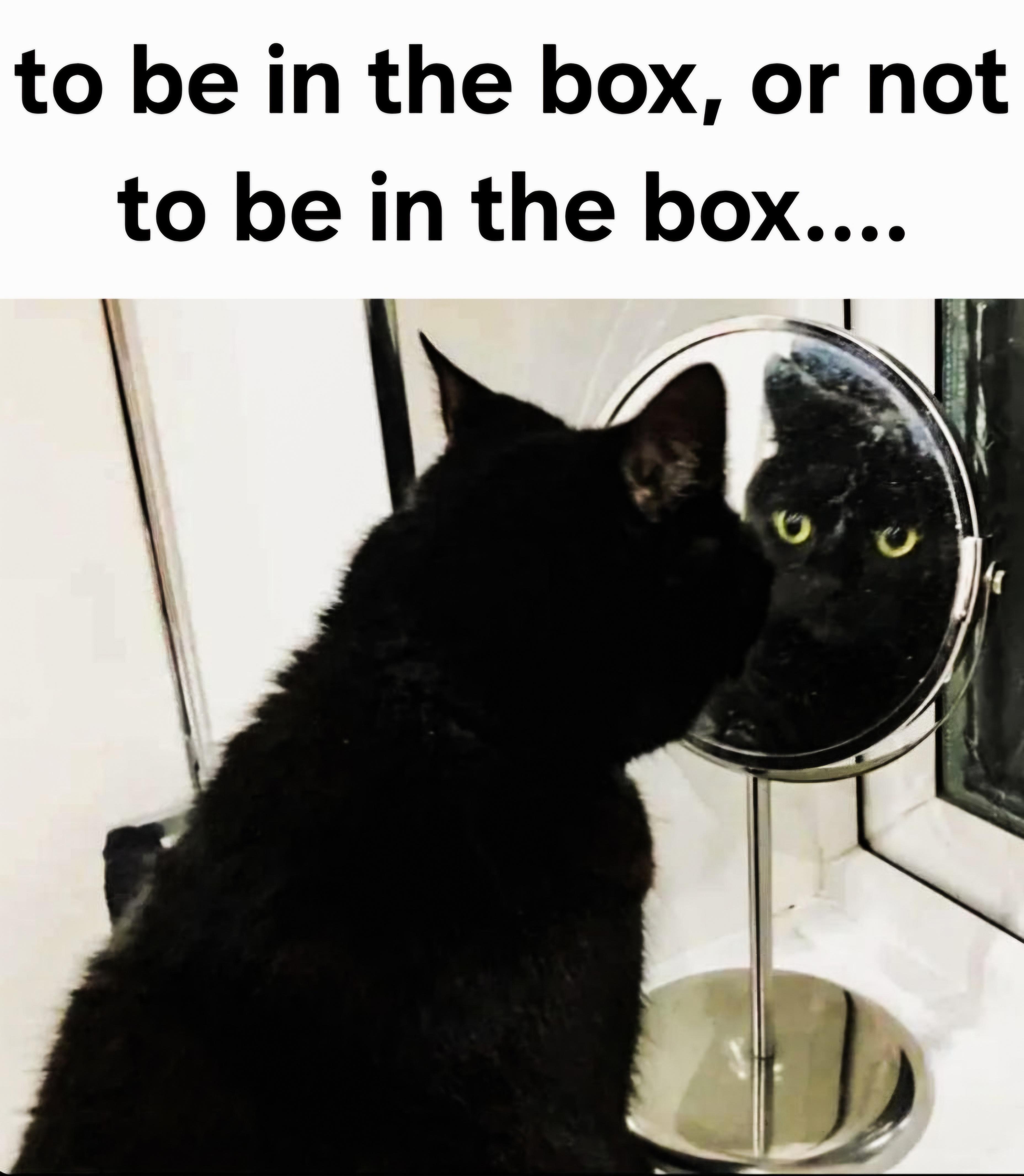 To Be In The Box, Or Not To Be In The Box