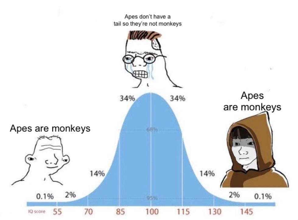The Primate Taxonomy Bell Curve