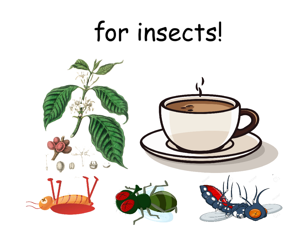 Caffeine Is Toxic (For Insects!)