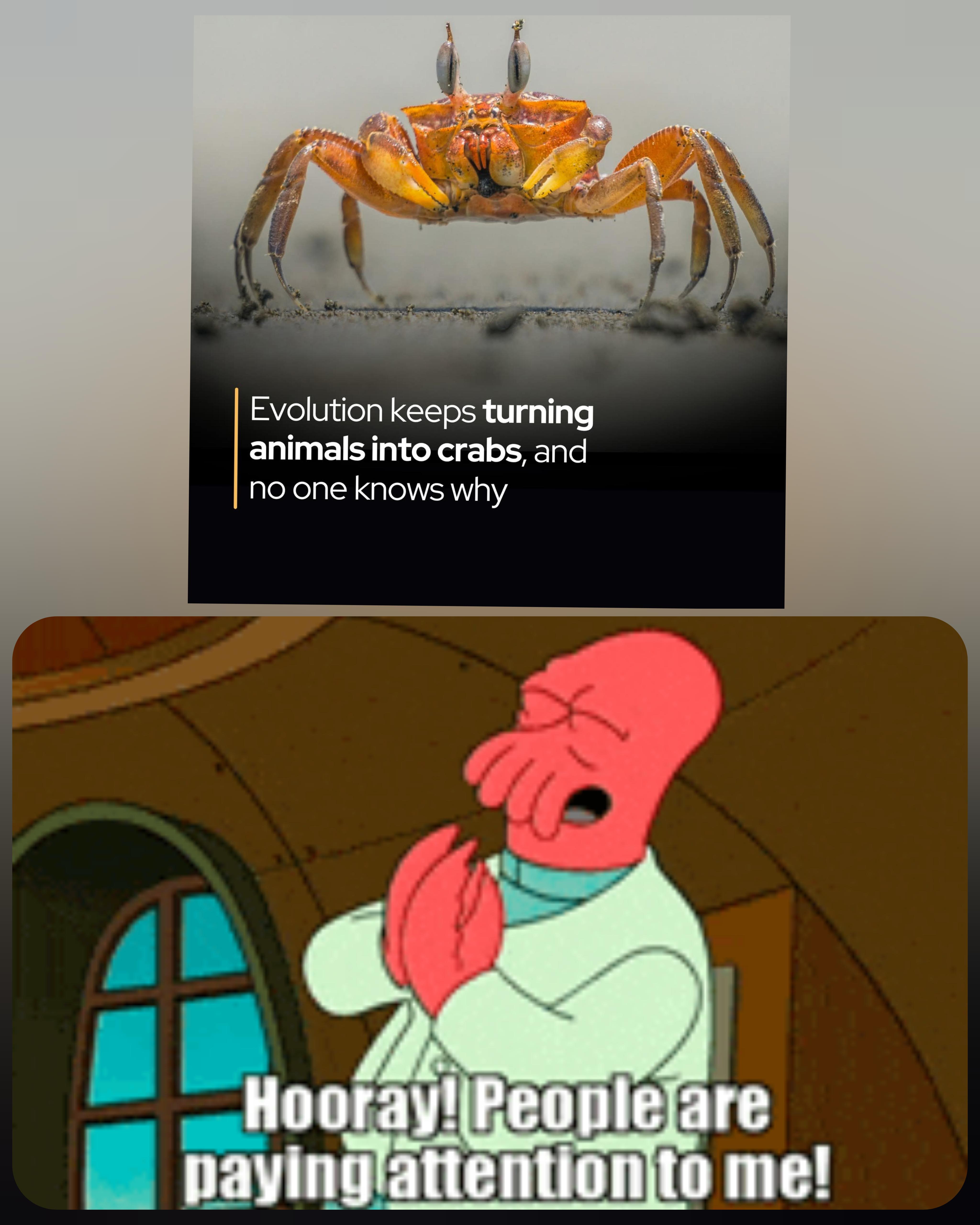 Hooray For Zoidberg!