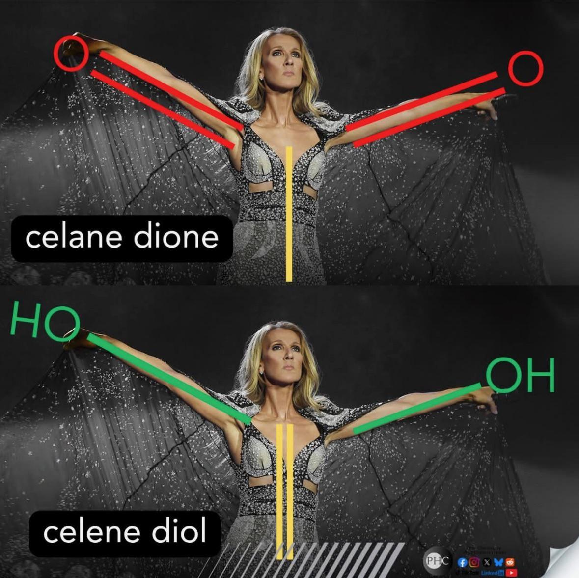 The Molecular Transformation Of Celine Dion