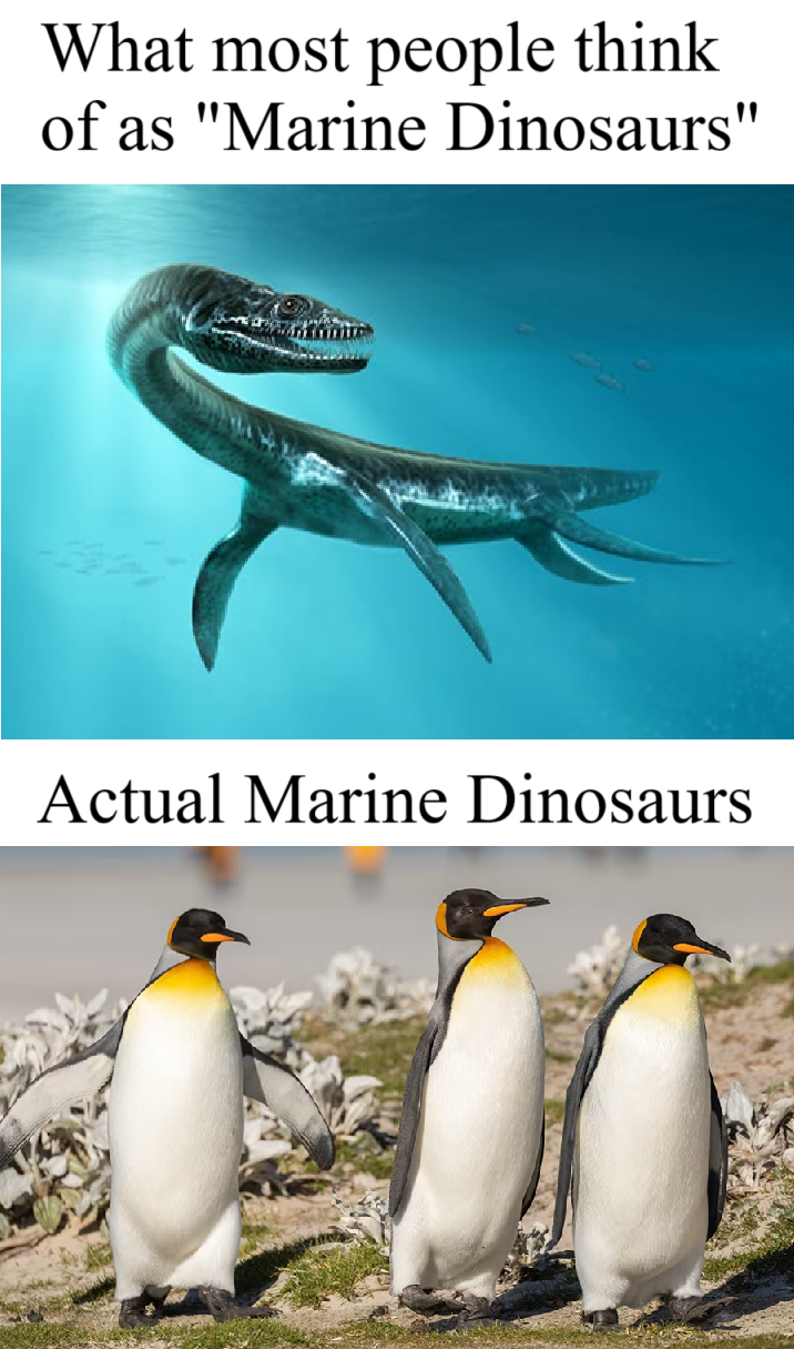 Penguins Are The Real Marine Dinosaurs