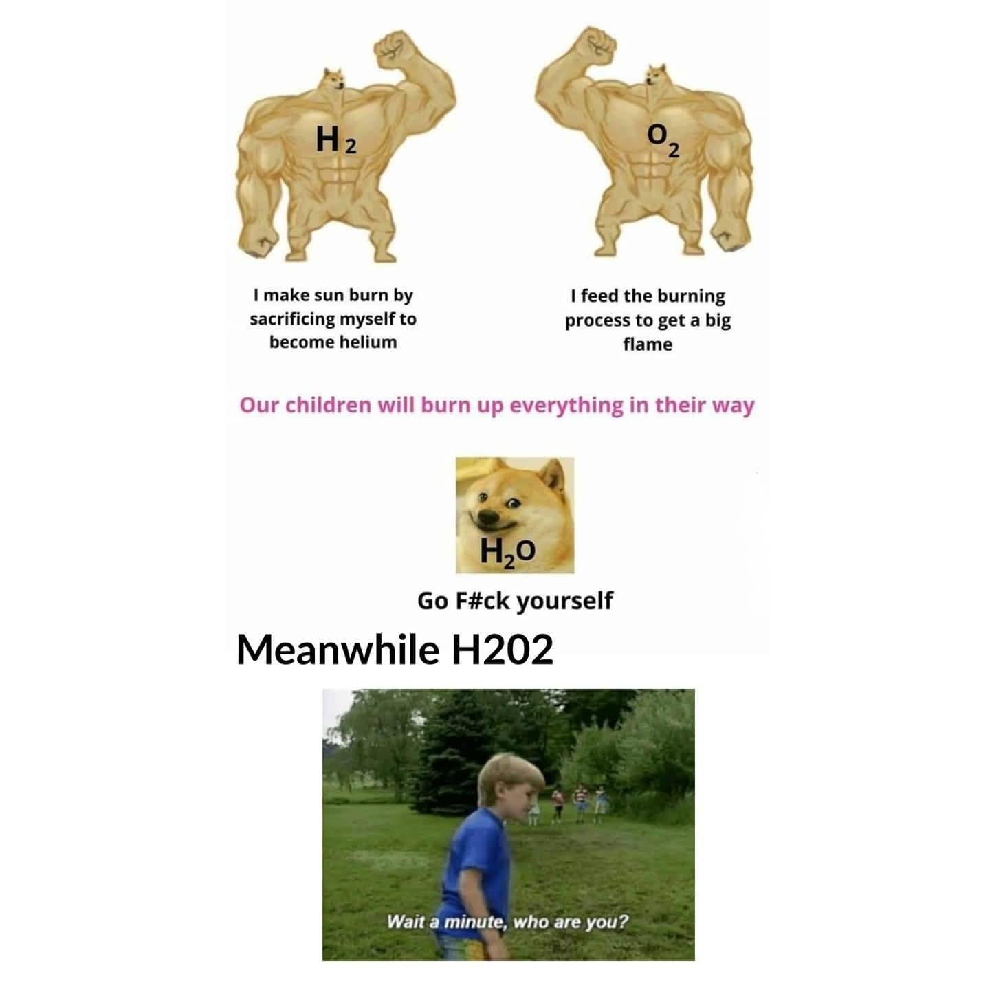 The Dysfunctional Chemical Family
