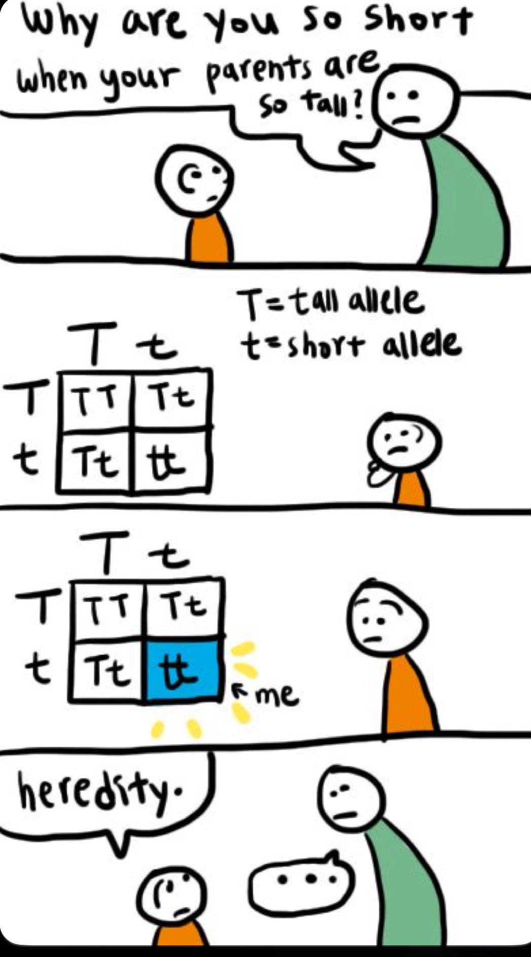 The Genetic Short Straw