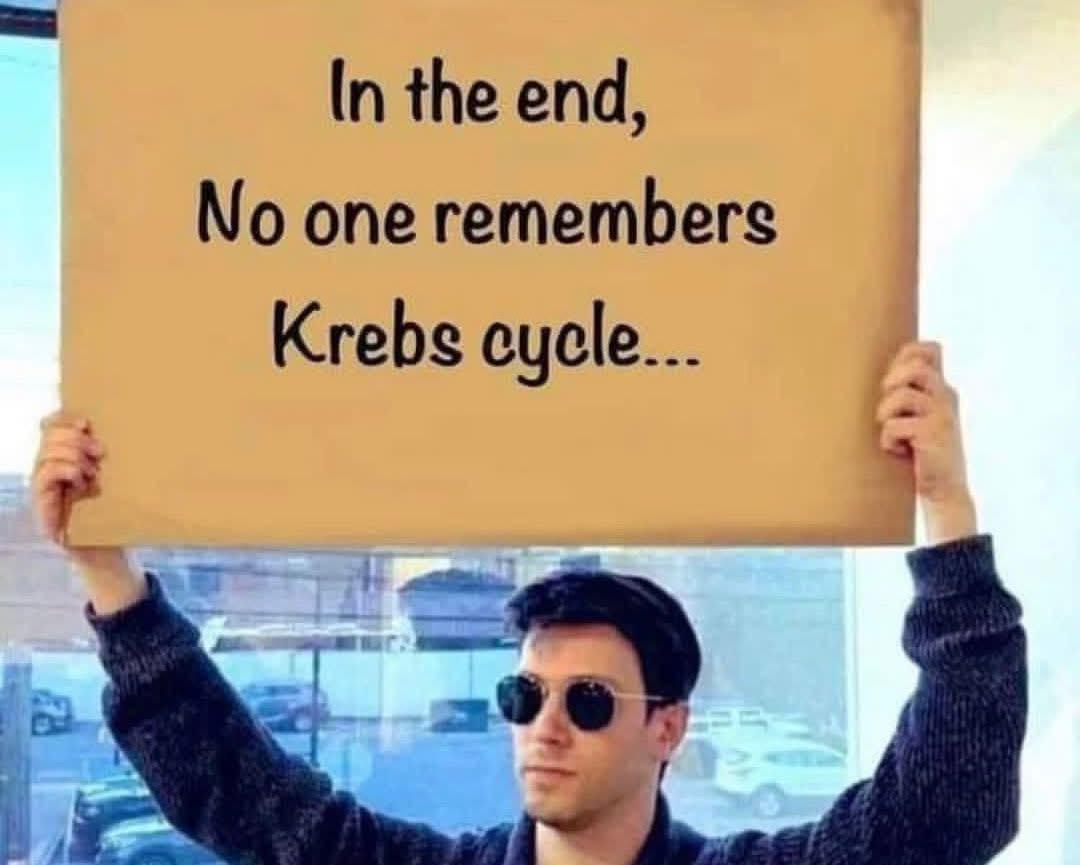 The Krebs Cycle: Cellular Metabolism's Greatest Forgotten Hit