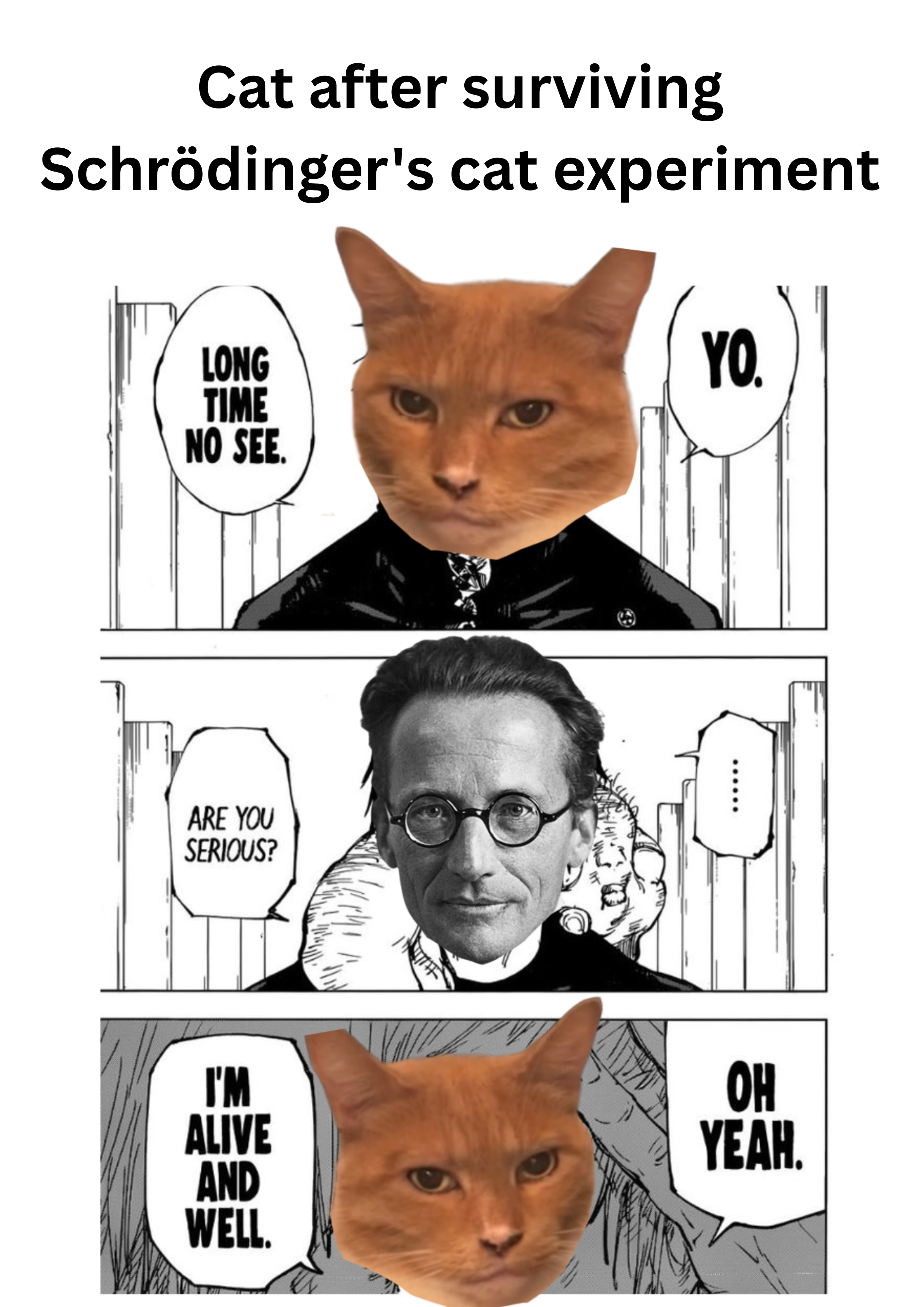 I'm Still Alive, Schrödinger