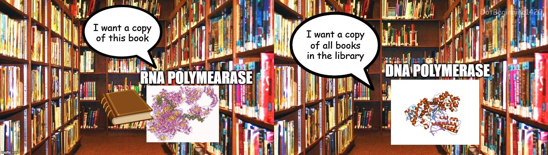 If DNA Was A Library