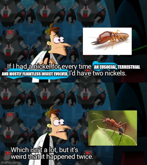 Eusocial Insects: Evolution's Copy-Paste Job