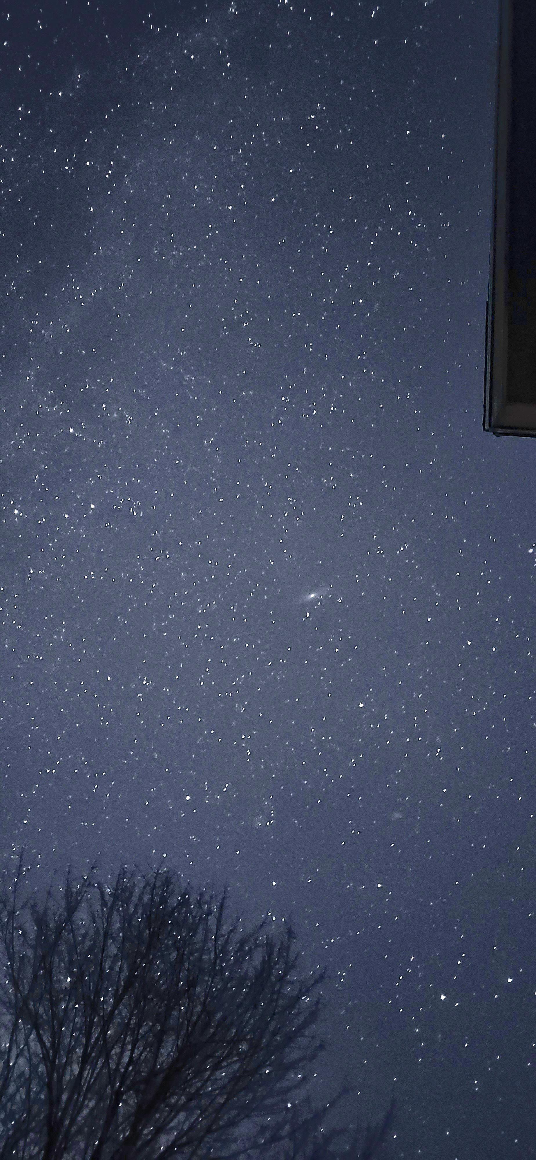Bro Lives In The Solar System