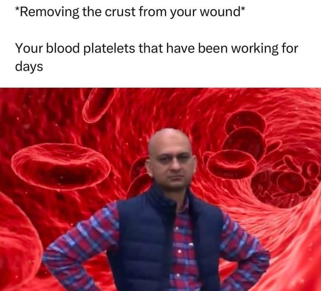 Platelet Project Demolition Day