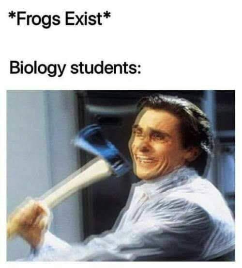 Frogs Exist: Biology Students Lose Their Minds