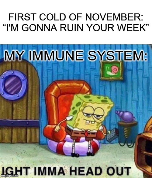 First Cold Of November: Immune System's Strategic Retreat