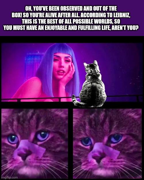 Quantum Cat's Existential Crisis