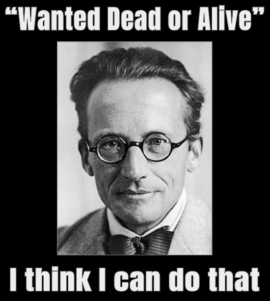 Schrödinger's Bounty Hunting