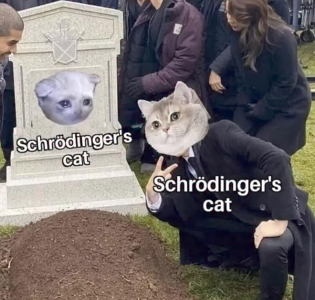Schrödinger's Cat: Simultaneously At Its Own Funeral