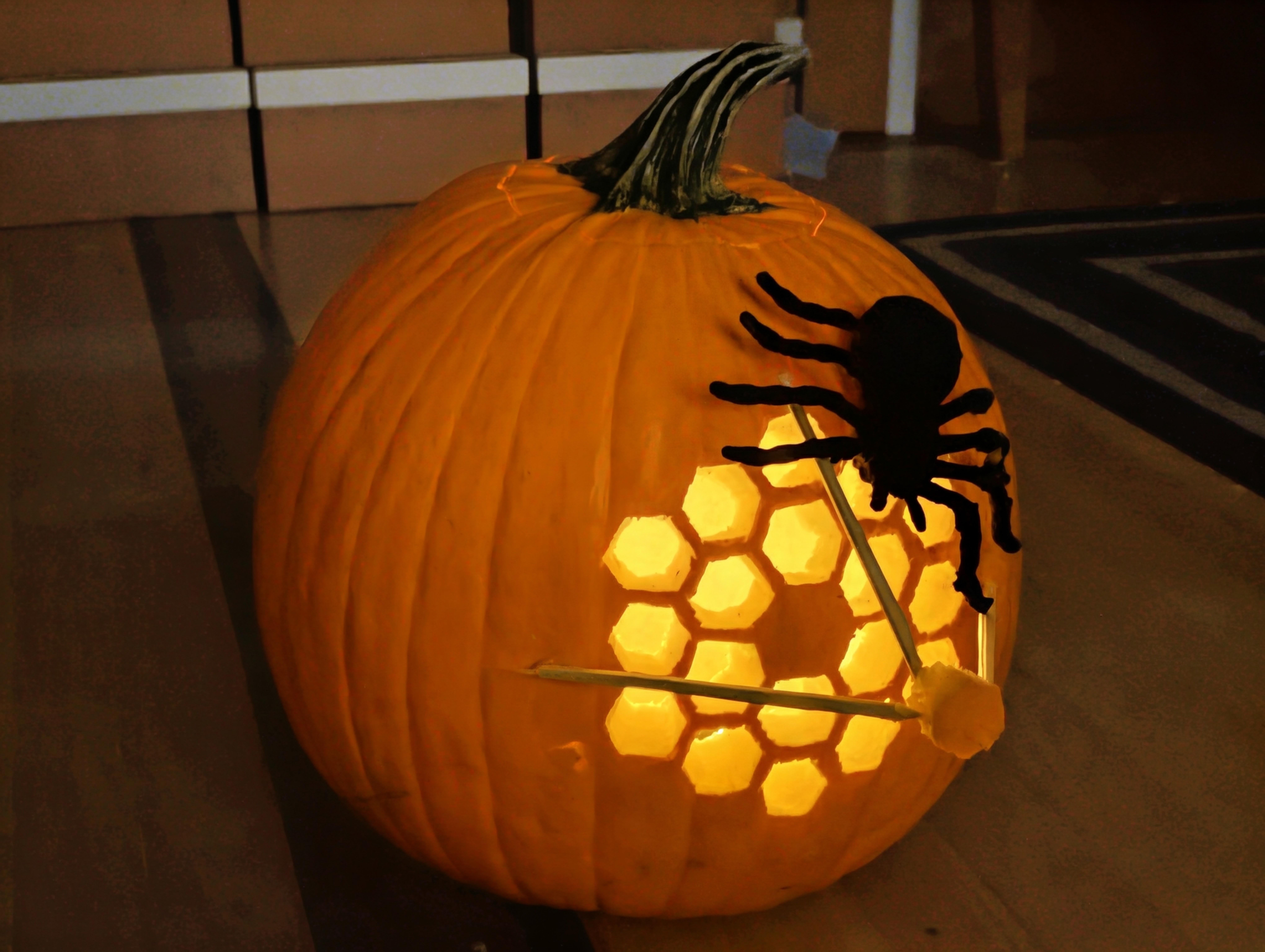 Catching Distant Galaxies In Her Webb