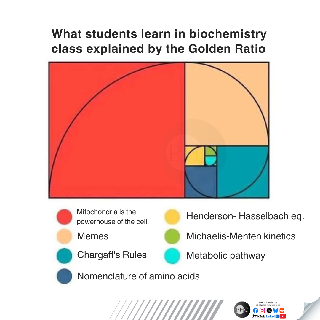The Fibonacci Sequence Of Biochemistry Knowledge
