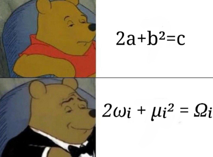 The Fancy Mathematician's Flex