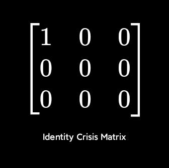 Identity Crisis Matrix