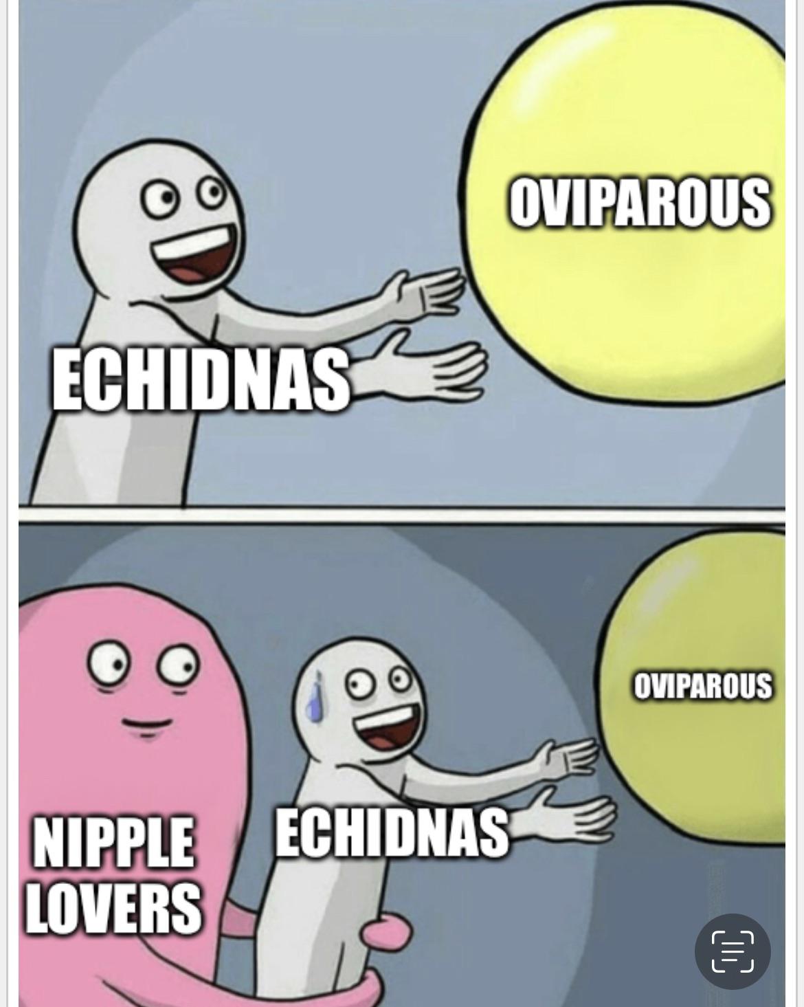 When Your Evolutionary Path Chooses All The Options