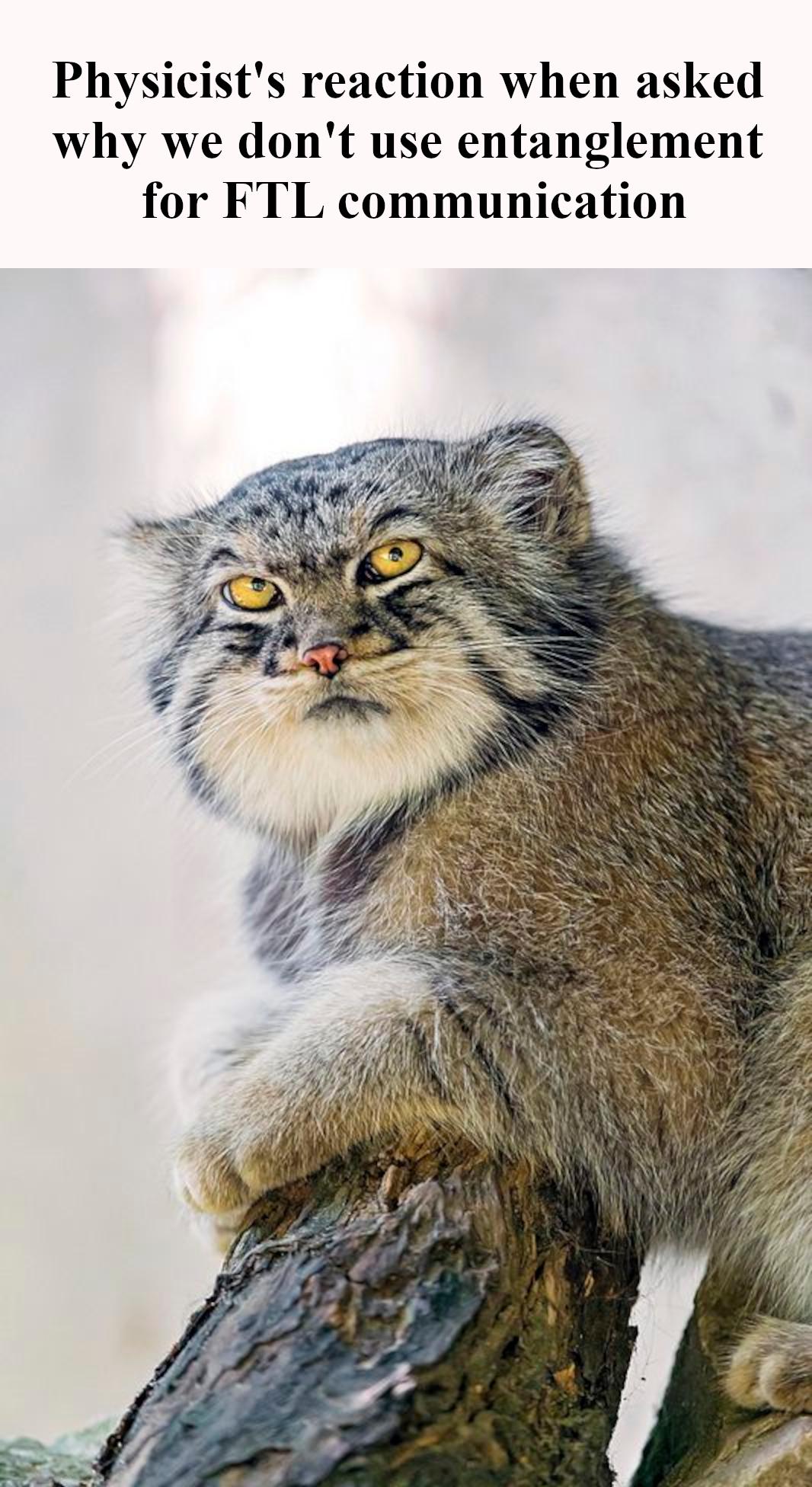 Quantum Entanglement Won't Fix Your Long-Distance Relationship