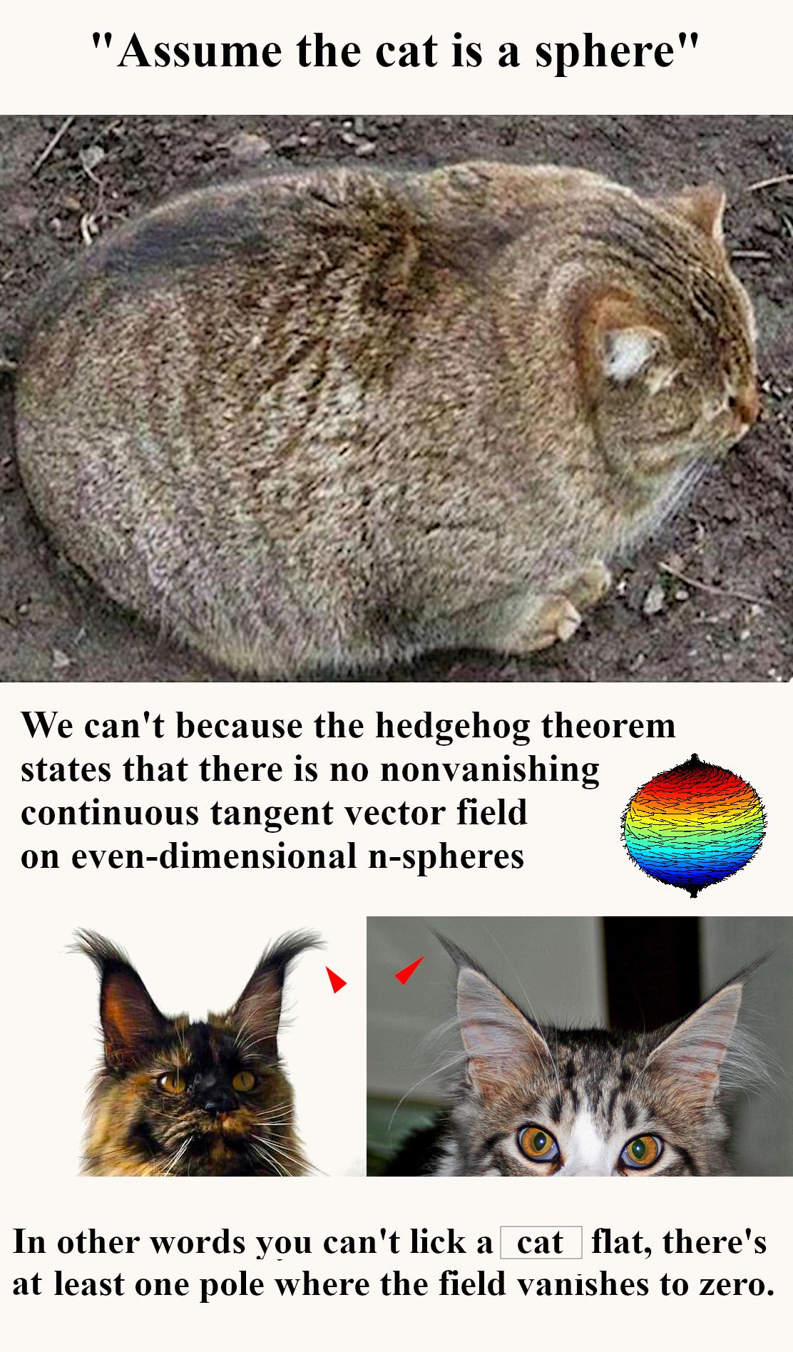 You Can't Comb The Cat