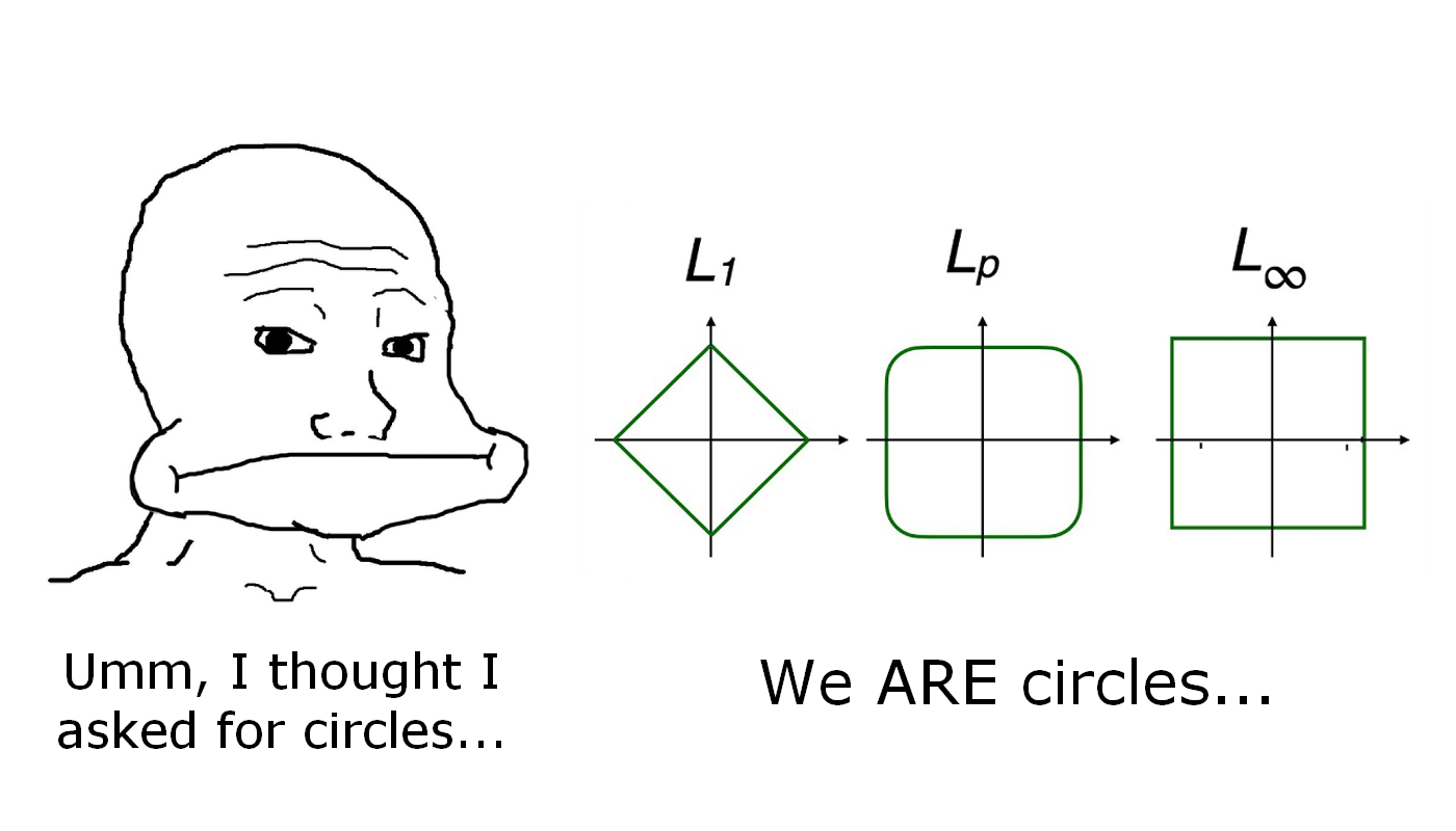 Should've Specified The Euclidean Metric