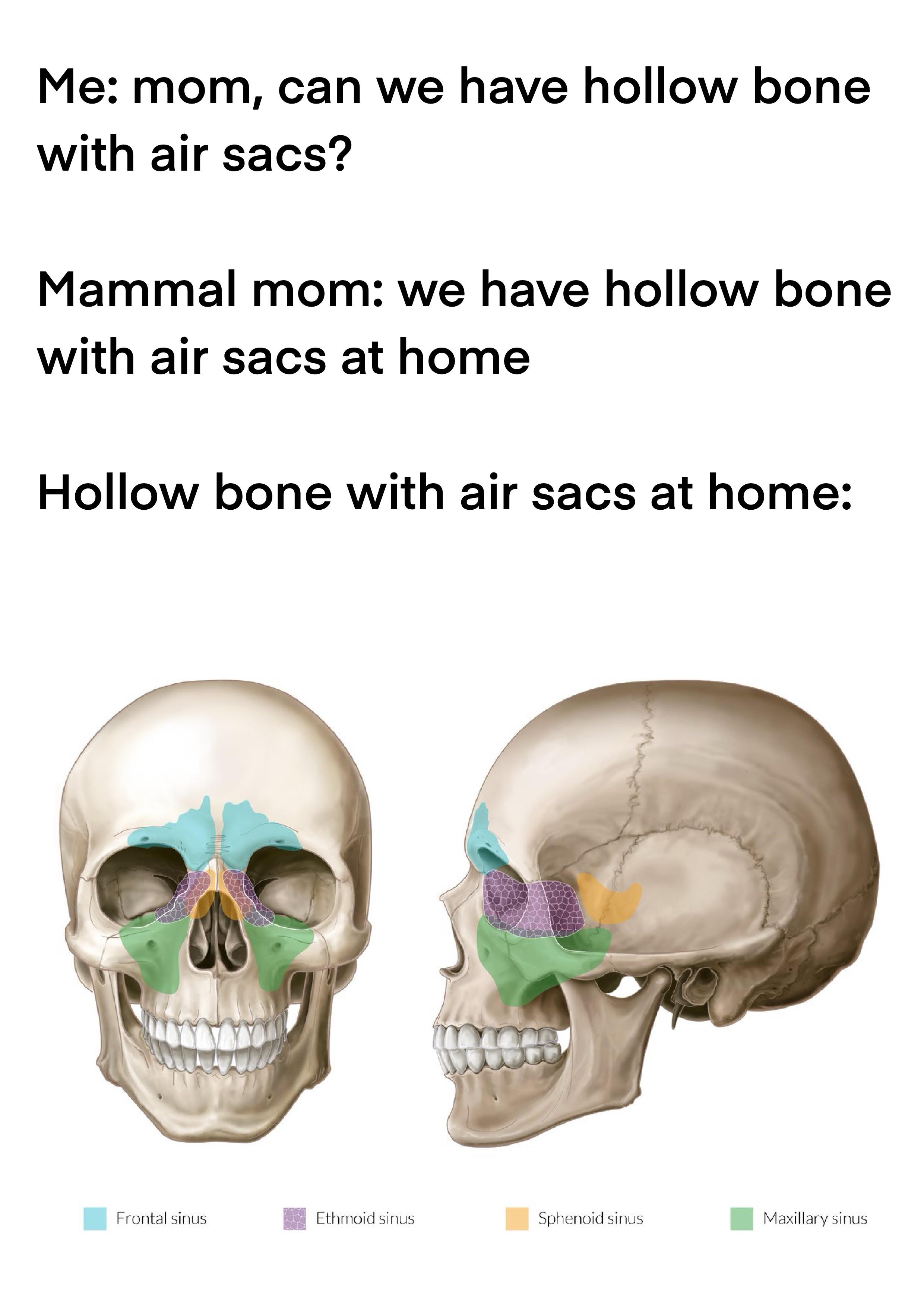 Hollow Promises: When Evolution Cuts Corners