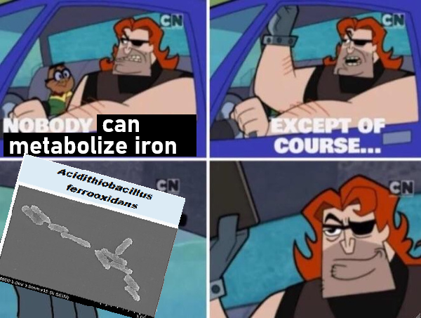 Metal-Eating Microbe Madness