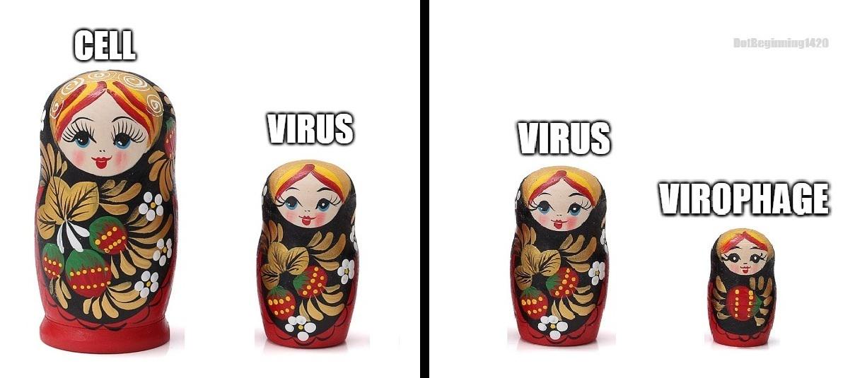 Viral Inception: When Parasites Get Parasites