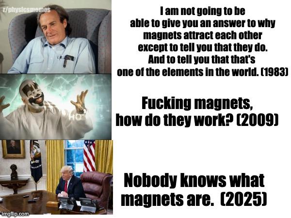 Feynman's Legacy On Magnets