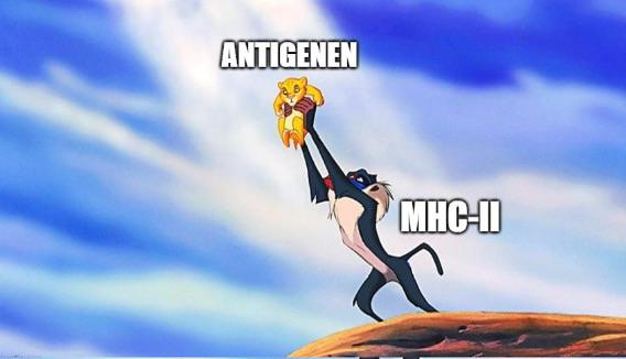 The Circle Of Immunology