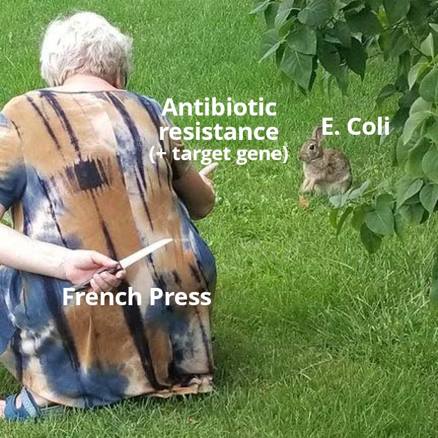 Transformations Feel Like