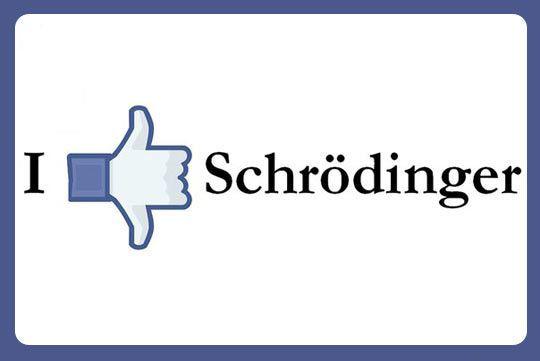 I Both Like And Dislike Schrödinger
