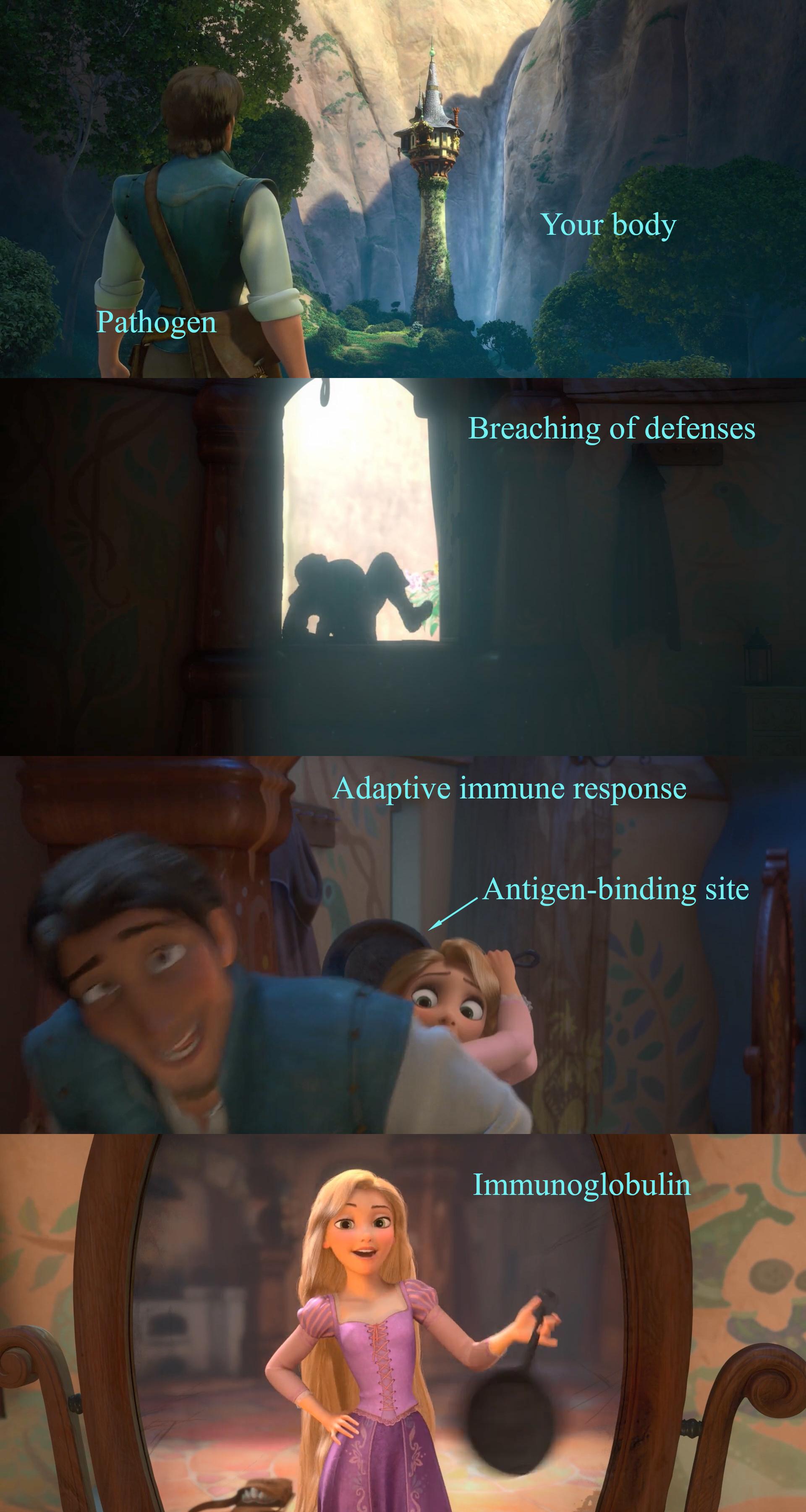 How The Immune System Works: Disney Edition